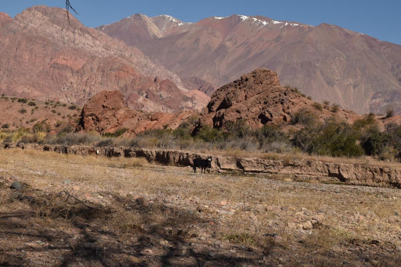 Cabanas De Los Andes Uspallata Luaran gambar